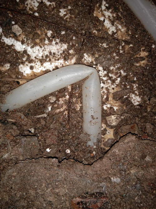 志丹堵点精准查找